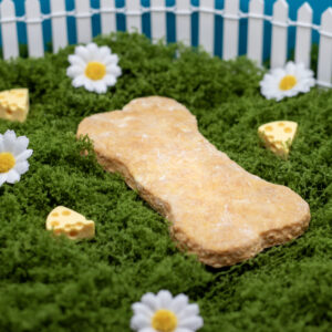 Biscuit Fromage