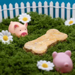 Biscuit Jambon