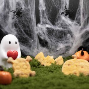 Biscuit Halloween
